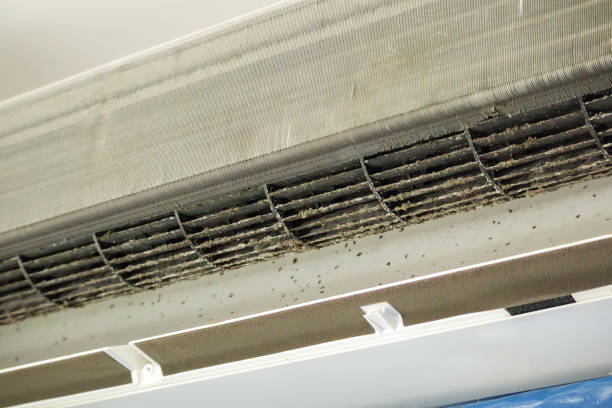 Best Professional Duct Cleaning Services  in Renovo, PA